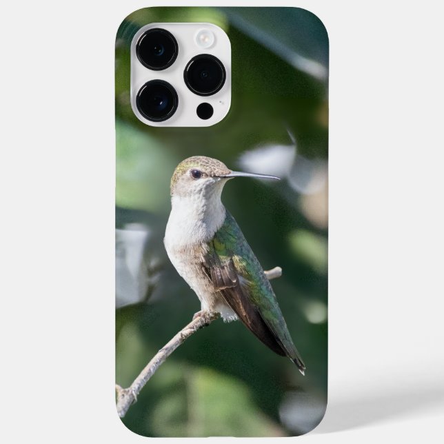 Ruby-Throated Hummingbird  Case-Mate iPhone Case (Back)
