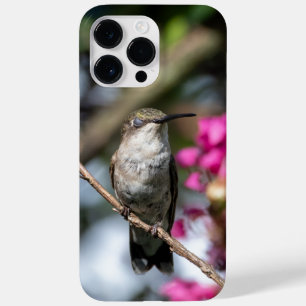 Ruby-Throated Hummingbird Case-Mate iPhone 14 Pro Max Case