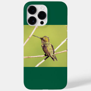 Ruby-Throated Hummingbird Case-Mate iPhone 14 Pro Max Case