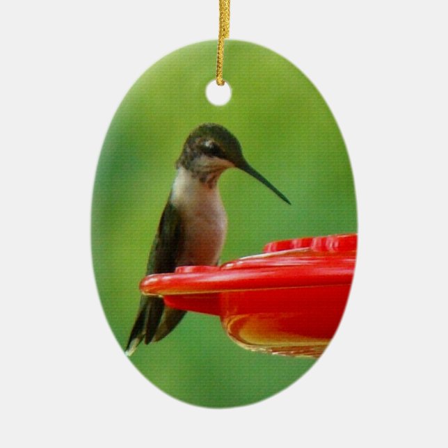Ruby-Throated Hummingbird Ceramic Ornament (Front)