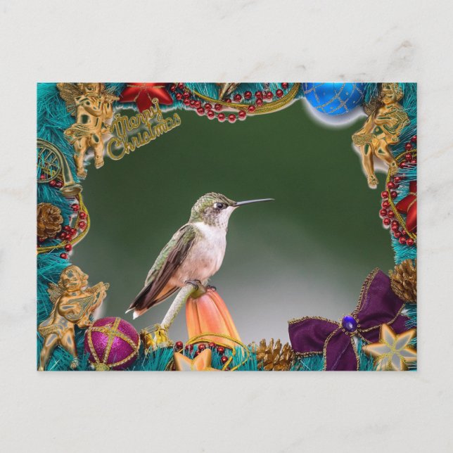 Ruby-throated hummingbird Christmas Card (Front)