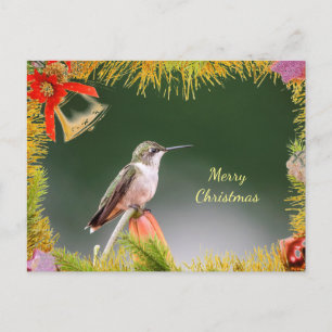 Ruby-throated hummingbird Christmas Card