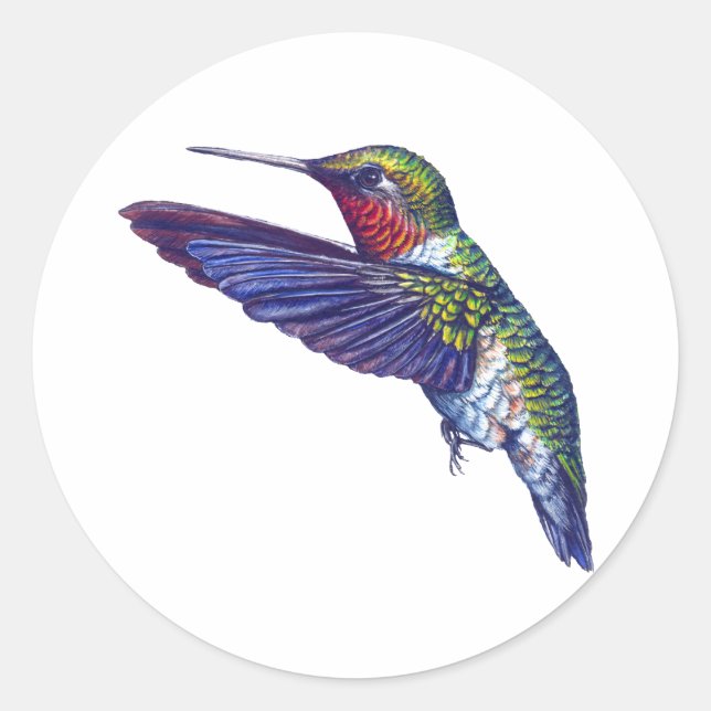 Ruby Throated Hummingbird Classic Round Sticker (Front)