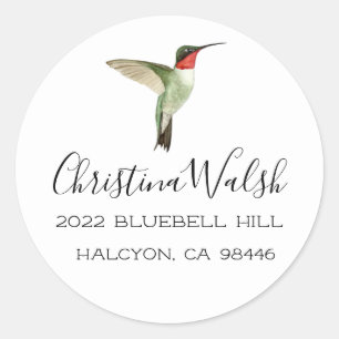 Ruby-throated Hummingbird Classic Round Sticker