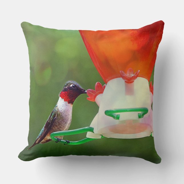 Ruby Throated Hummingbird Cushion (Front)