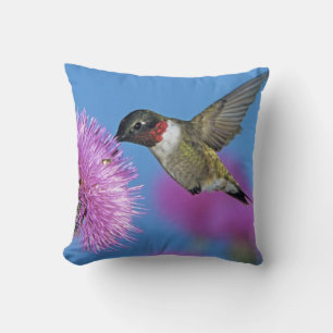 Ruby-throated Hummingbird Cushion