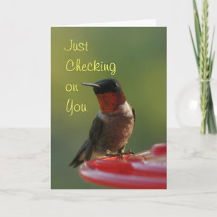 Ruby Throated Hummingbird - customise Card