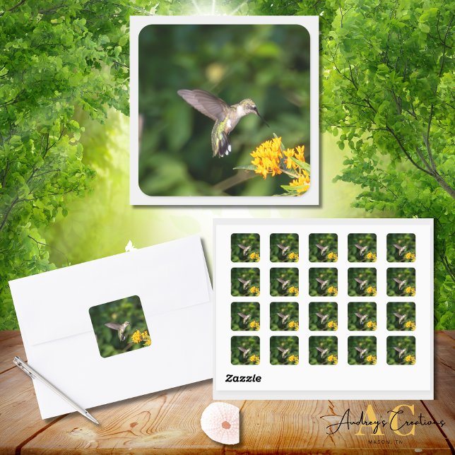 Ruby-Throated Hummingbird Enjoying Butterfly Weed Square Sticker (Creator Uploaded)