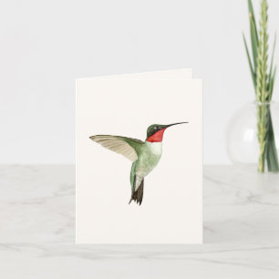 Ruby-throated Hummingbird Greeting Card