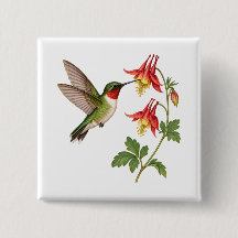 Ruby Throated Hummingbird in a Flower Garden
