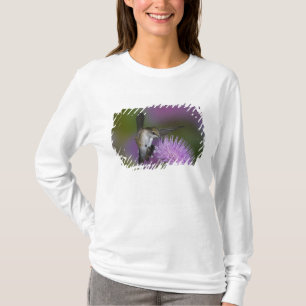 Ruby-throated hummingbird in flight at thistle T-Shirt
