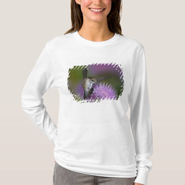 Ruby-throated hummingbird in flight at thistle T-Shirt (Front)