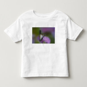 Ruby-throated hummingbird in flight at thistle toddler T-Shirt