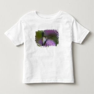 Ruby-throated hummingbird in flight at thistle toddler T-Shirt