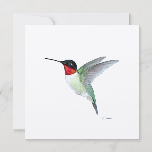 Ruby-throated Hummingbird in Flight Thank You Card (Front)