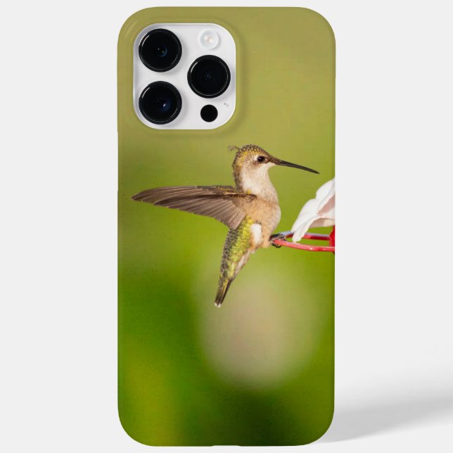 Ruby-Throated Hummingbird IPhone Case #108A0605 (Back)