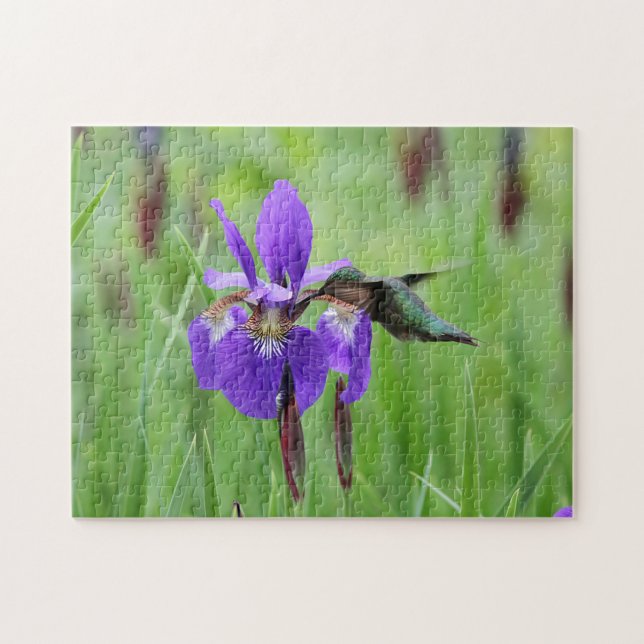 Ruby-throated hummingbird jigsaw puzzle (Horizontal)