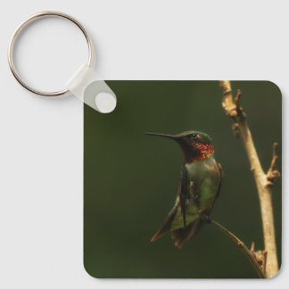 Ruby-throated Hummingbird key chain