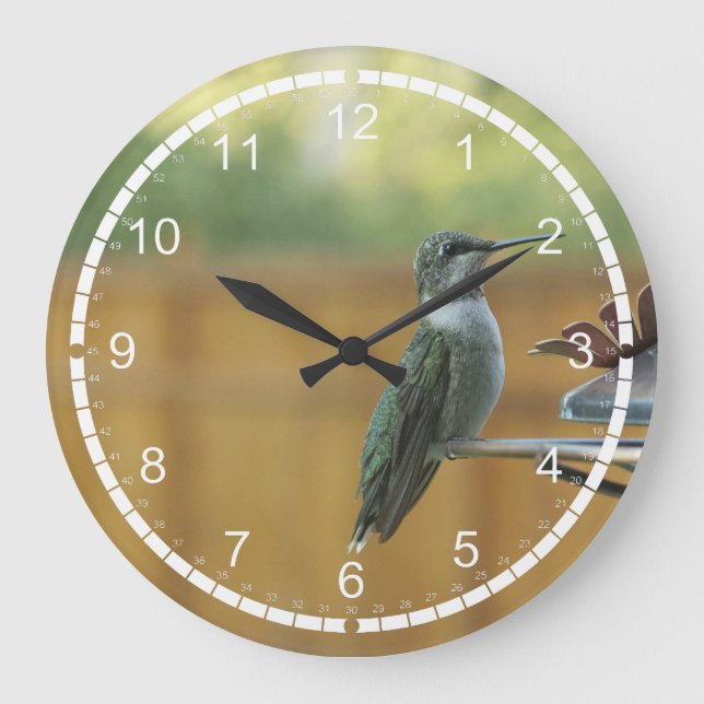 Ruby Throated Hummingbird Large Clock (Front)