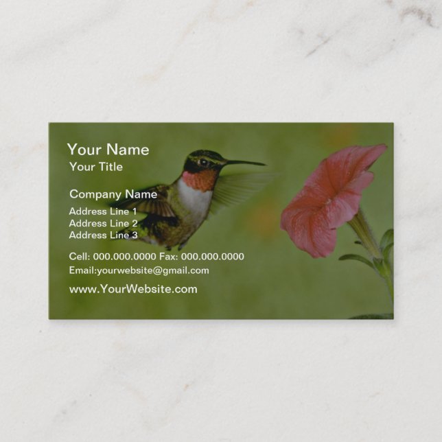 Ruby-throated Hummingbird (male) with petunia Pink Business Card (Front)