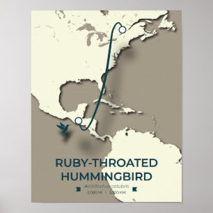 Ruby-throated Hummingbird Migration Map Poster