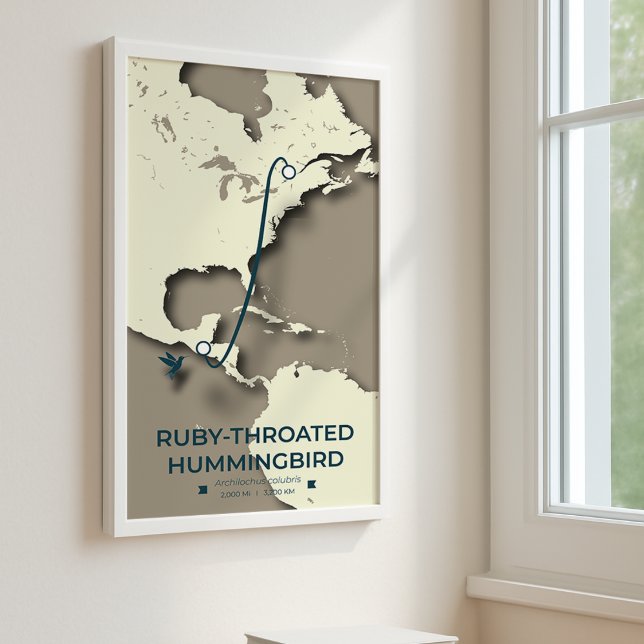 Ruby-throated Hummingbird Migration Map Poster (Creator Uploaded)