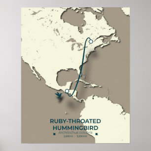 Ruby-throated Hummingbird Migration Map  Poster