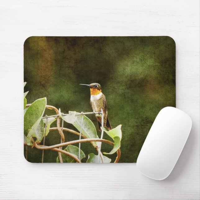 Ruby Throated Hummingbird Mouse Pad (With Mouse)