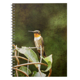 Ruby Throated Hummingbird Notebook