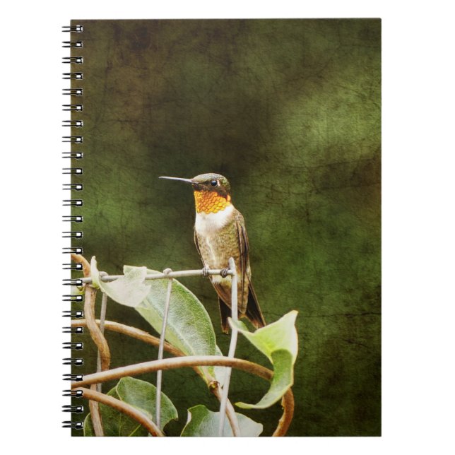 Ruby Throated Hummingbird Notebook (Front)