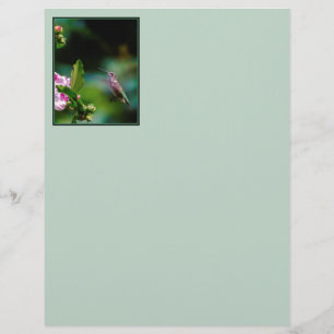 Ruby-throated Hummingbird - Original Photograph