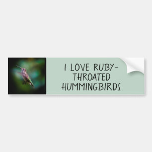 Ruby-throated Hummingbird - Original Photograph Bumper Sticker