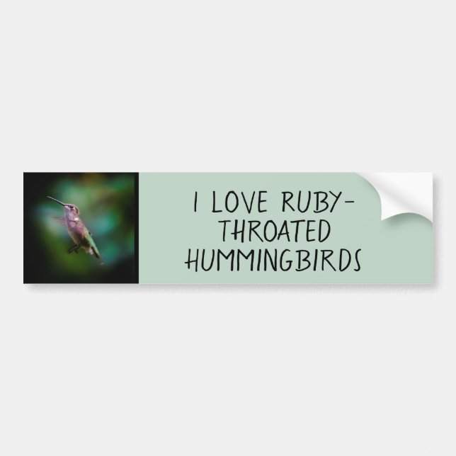Ruby-throated Hummingbird - Original Photograph Bumper Sticker (Front)