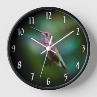Ruby-throated Hummingbird - Original Photograph