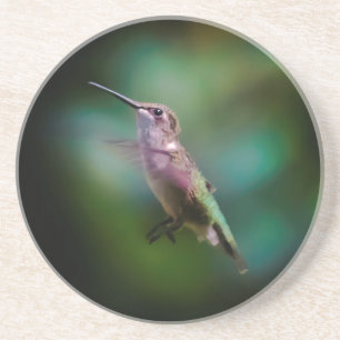 Ruby-throated Hummingbird - Original Photograph Coaster
