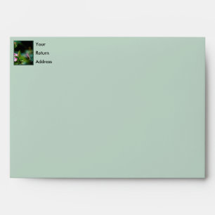 Ruby-throated Hummingbird - Original Photograph Envelope
