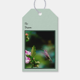 Ruby-throated Hummingbird - Original Photograph Gift Tags