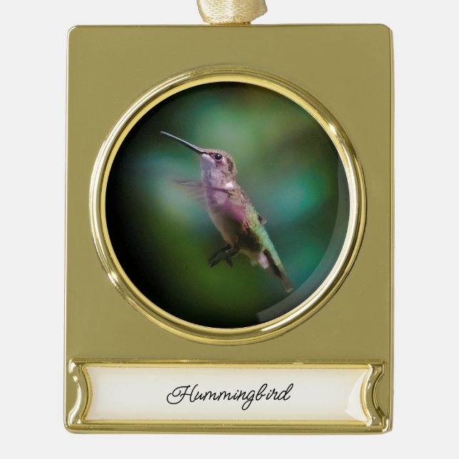 Ruby-throated Hummingbird - Original Photograph Gold Plated Banner Ornament (Front)