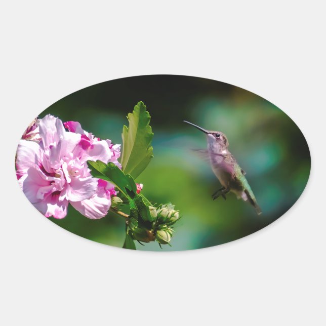 Ruby-throated Hummingbird - Original Photograph Oval Sticker (Front)