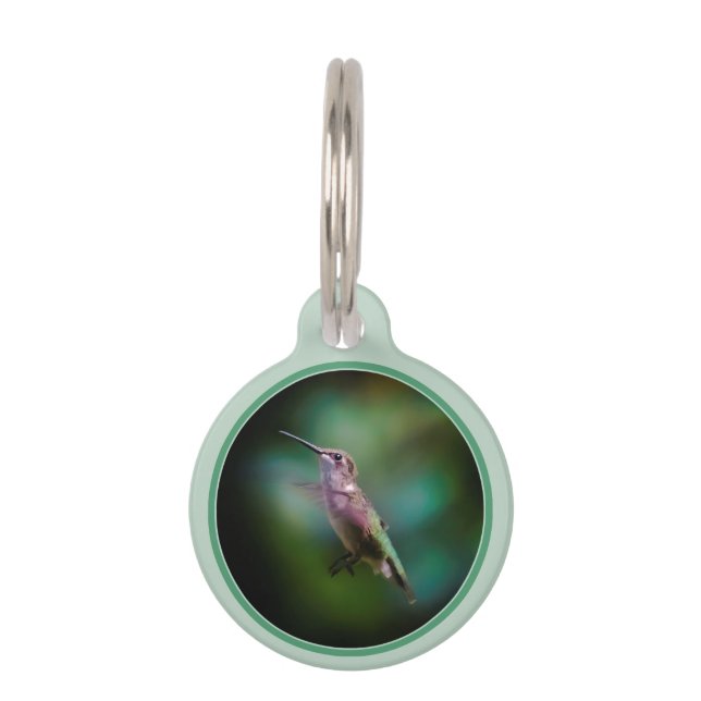 Ruby-throated Hummingbird - Original Photograph Pet Tag (Front)