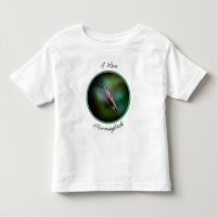 Ruby-throated Hummingbird - Original Photograph To