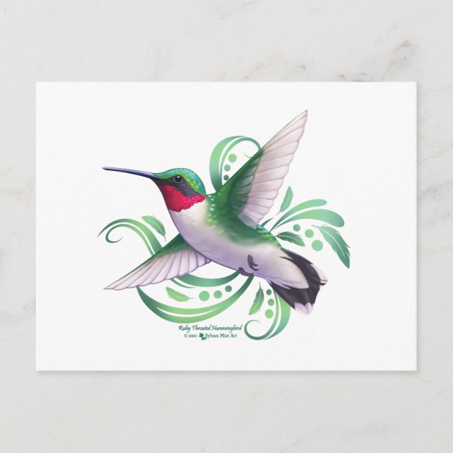Ruby Throated Hummingbird Postcard (Front)