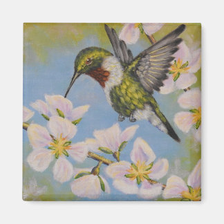 Ruby-Throated Hummingbird - Square Magnet