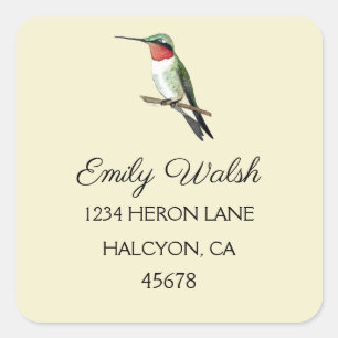 Ruby-throated Hummingbird Square Sticker