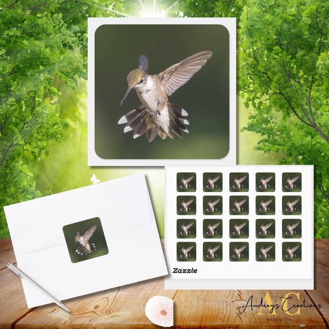 Ruby-Throated Hummingbird Square Sticker (Creator Uploaded)