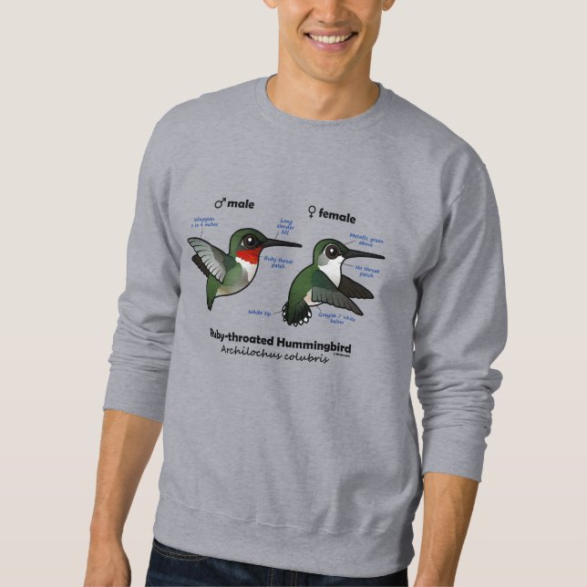Ruby-throated Hummingbird Statistics Sweatshirt (Front)