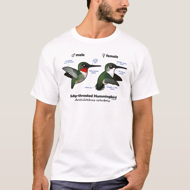 Ruby-throated Hummingbird Statistics T-Shirt (Front)