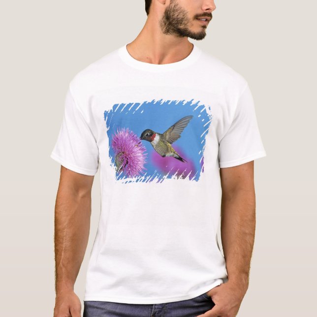 Ruby-throated Hummingbird T-Shirt (Front)