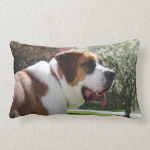 Ruby's Springtime Pillow