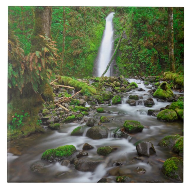 Ruckel Creek Falls, Columbia River Gorge Oregon Ceramic Tile (Front)